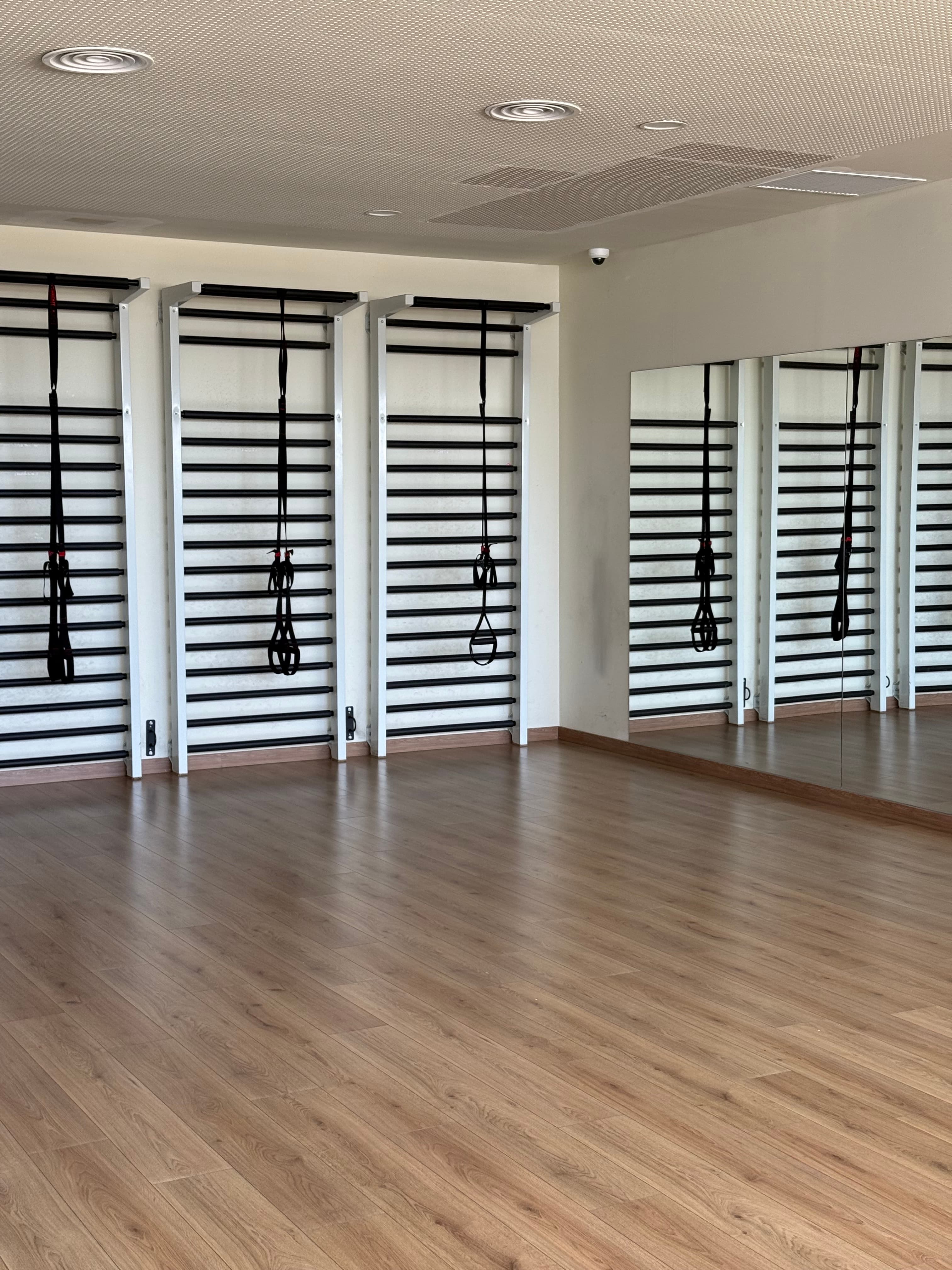 Sala amb espatlleres i TRX